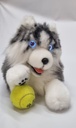 Robotic Hund „Husky-Balto“ mit interaktiven Augen