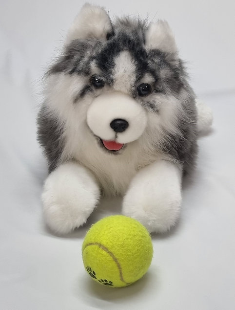 Robotic Hund „Husky-Balto“ mit interaktiven Augen