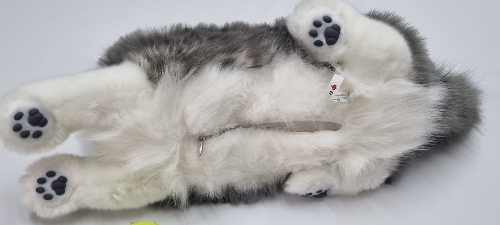 Robotic Hund „Husky-Balto“ mit interaktiven Augen