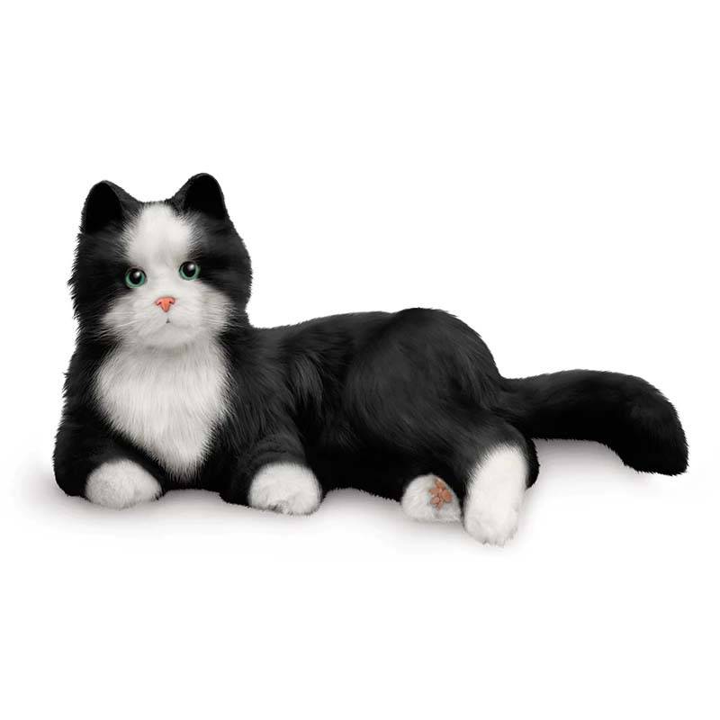 Demenz- und Begleitkatze Benny (schwarz-weiß)