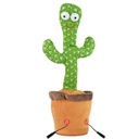 Kaktus adaptiert mit 2 Funktionen