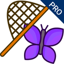CatchMe 3.0 TOUCH PRO iPad-App