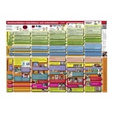 Leber, Kommunikation einschätzen und unterstützen, Poster/Plakat A2 mit Begleitheft