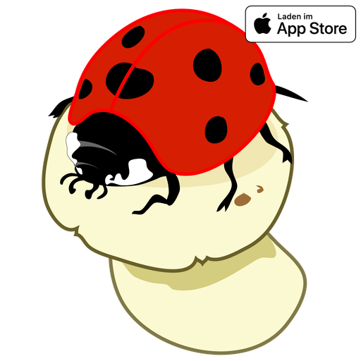 AboutNumbers PRO iPad-App